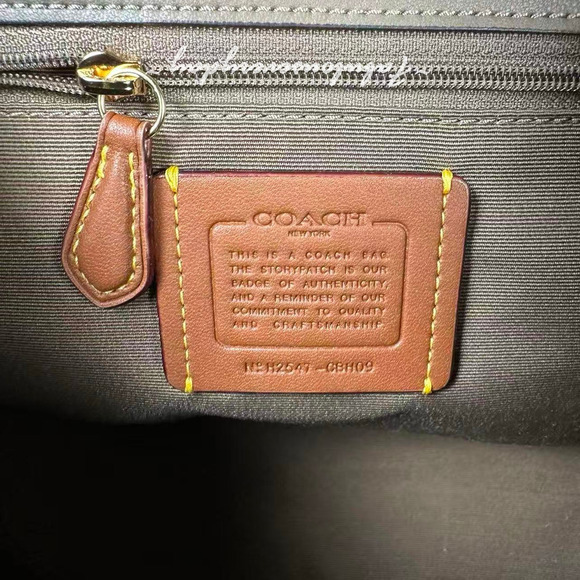 Coach Hadley Backpack In Leather Gold/Dark stone CBH09 NWT main image 6